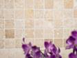 Des fleurs violettes en premier plan devant la mosaïque en travertin