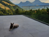 Canyon Slate Katze