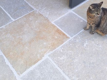 calcaire_sable_de_Java_chat_galerie 1