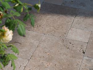 Le soleil de fin d'après-midi se reflète sur le sol de la terrasse, roses en premier plan