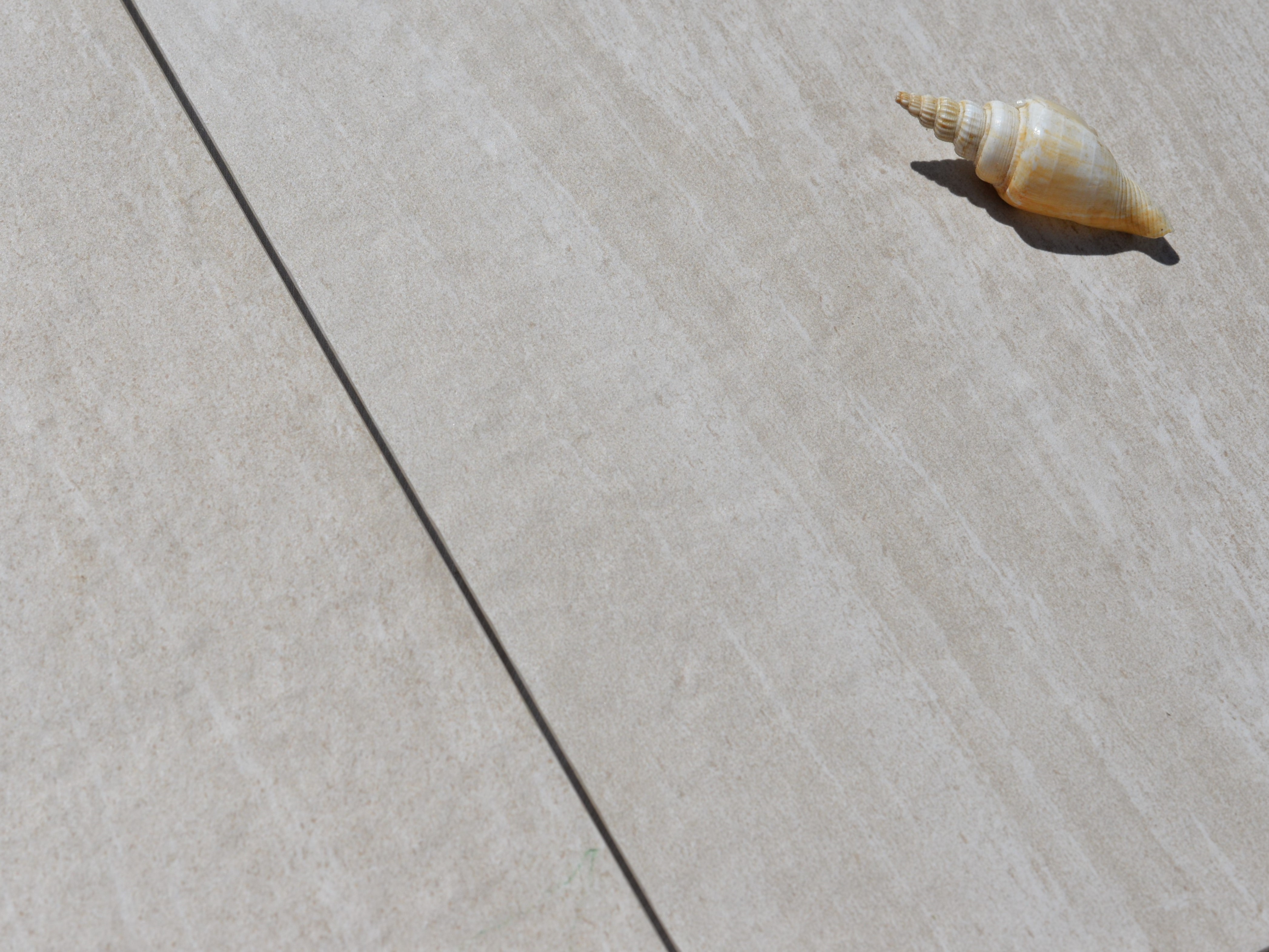 Gros plan sur le dallage Mountain Beige, sur lequel est posé un escargot de mer