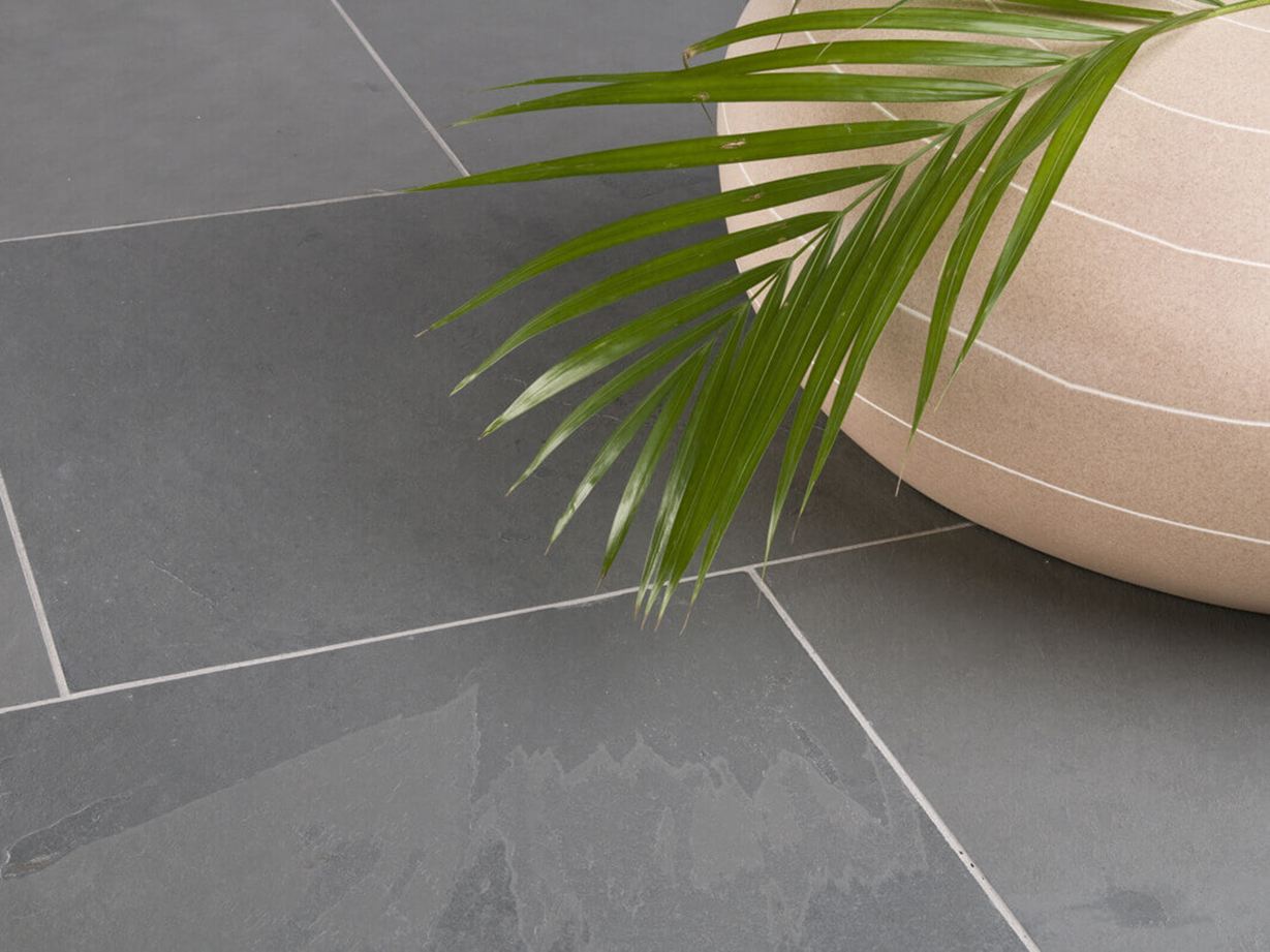 De fines schistosités sont présentes à sa surface Le carrelage en ardoise Grey Slate et un palmier