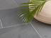 Le carrelage en ardoise Grey Slate et un palmier