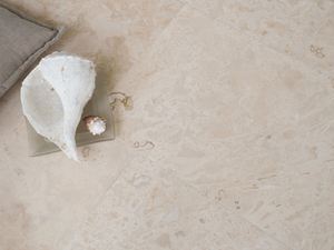 Coquillage blanc posé sur un carreau de travertin « Classic Light », photographié vu d'en haut