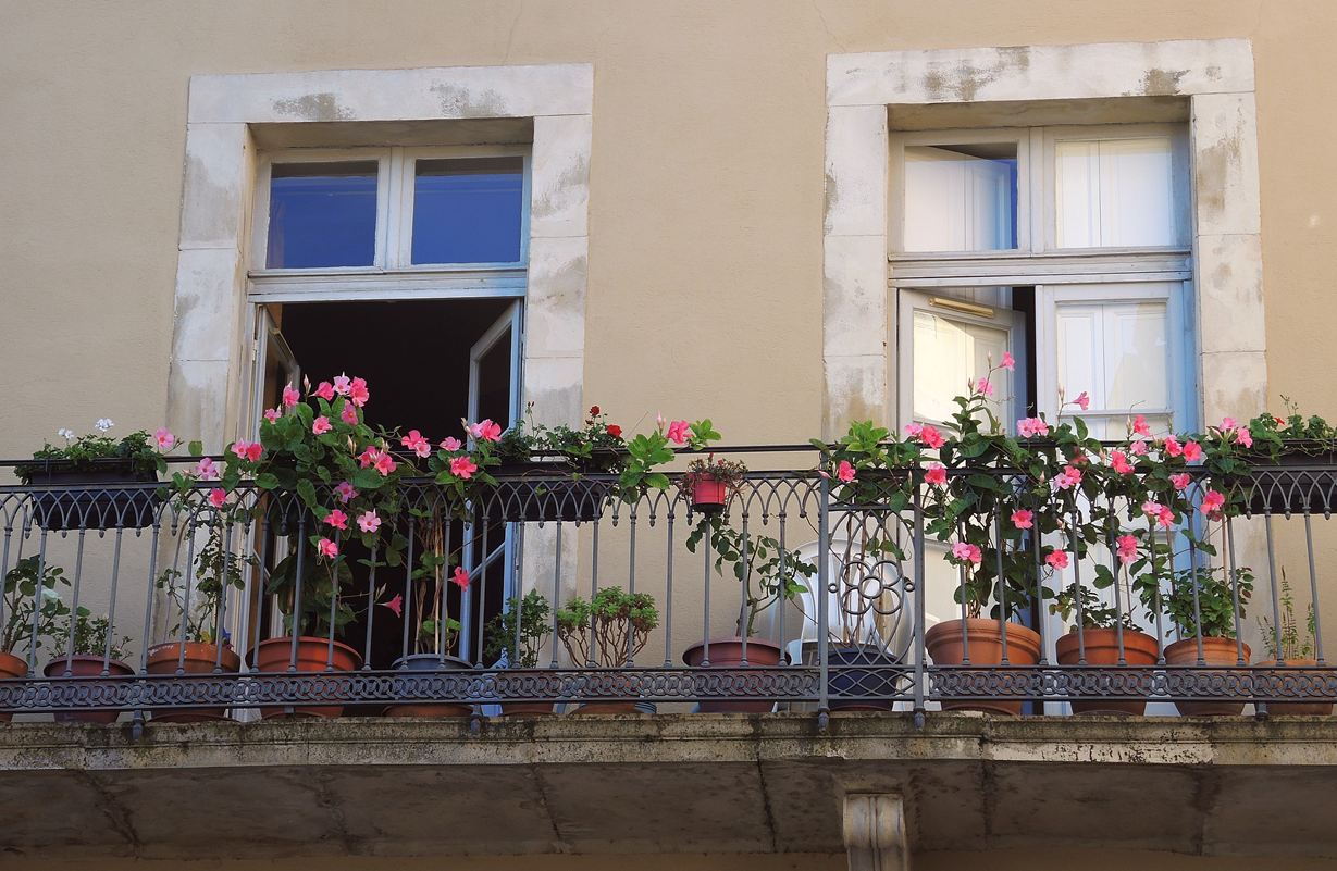 Balcon méditerranéen avec fleurs et mur de maison beige