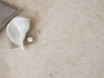 Une coquille blanche sur des carreaux de travertin clair