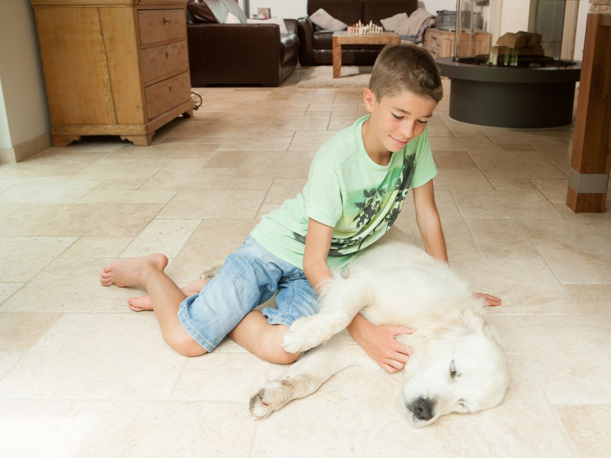 Un garçon et un chien sur le sol en travertin Light, en opus romain