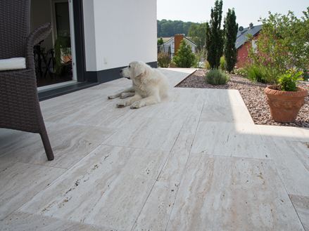 un chien assis sur la terrasse en travertin Natura à gauche une chaise