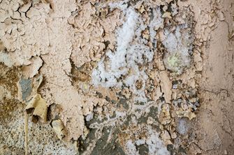 L’efflorescence chez une pierre naturelle