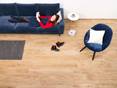 Femme allongée sur un canapé bleu dans un salon avec des carreaux en bois aspect Urban Honey, à côté d'un fauteuil avec coussin blanc